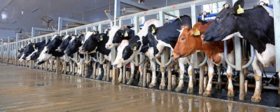 Mnet 204551 Dairy Farming New Hero Image