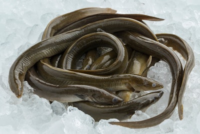 Eels On Ice