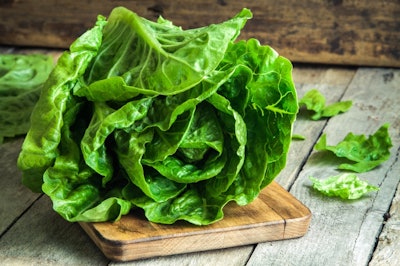 Ripe Organic Green Salad Romano 000057375036 Small
