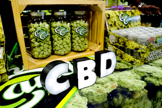 Cbd Candy Ap