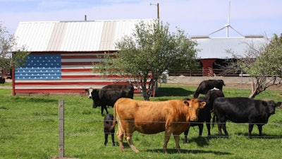 U s Cattle 5cdec53588420