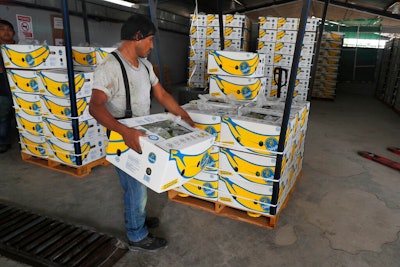 Banana Imports Mexico Ap