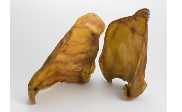 Dog Treats Recalled Food Manufacturing