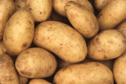 Potatos Istock