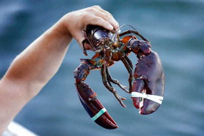 Lobster Exports Ap