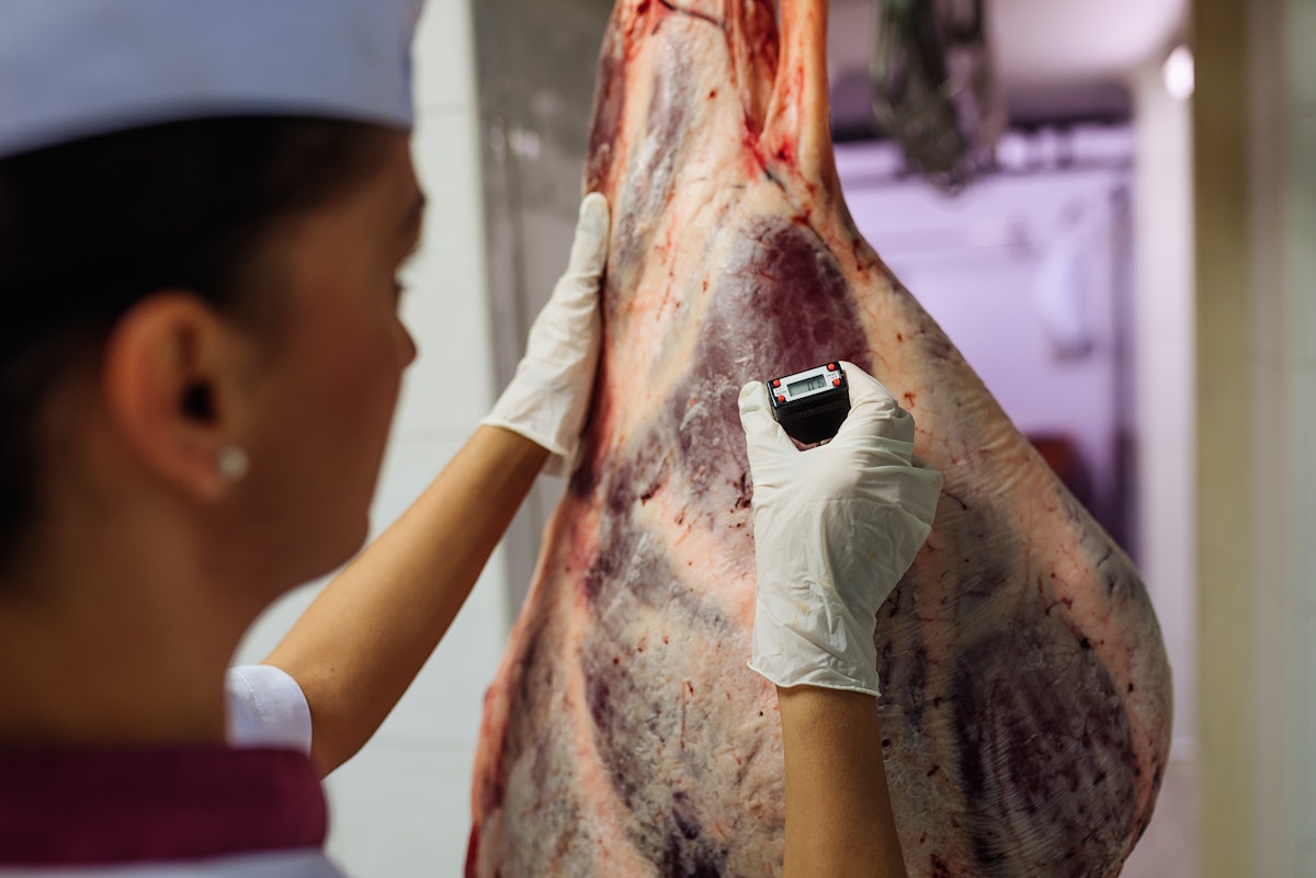 Critics Uneasy As Federal Meat Inspectors Face Overload | Food Manufacturing