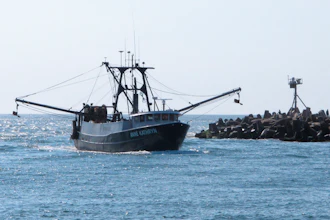 Fishing Boat