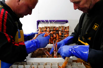Seafood Industry Brexit Ap