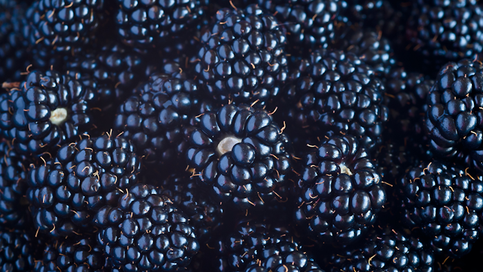 Blackberries I Stock