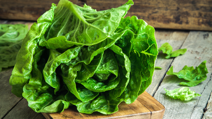 Romaine I Stock