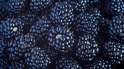 Blackberries I Stock