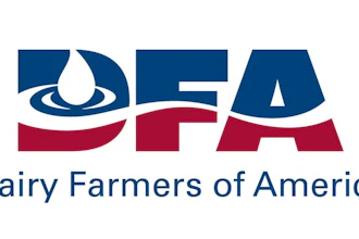 Dfa Centered Logoa