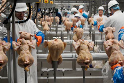 In this Dec. 12, 2019 file photo, workers process chickens at the Lincoln Premium Poultry plant, Costco Wholesale's dedicated poultry supplier, in Fremont, NE.