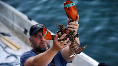 In this Aug. 24, 2019 file photo, a dealer at Cape Porpoise holds a 3 1/2 pound lobster in Kennebunkport, ME.