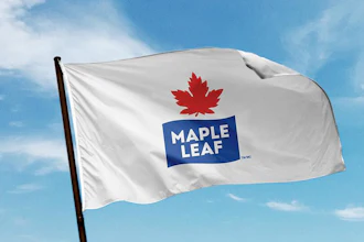 Flag 1024x543