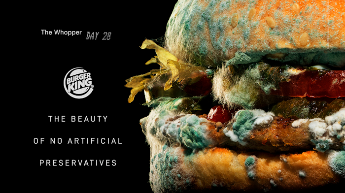 Burger King Breaks The Mold With New Advertising Campaign Food Manufacturing