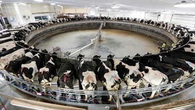 In this Dec. 4, 2019 photo, cows are milked on a large carousel at the Rosendale Dairy in Pickett, WI. At Rosendale Dairy, each of the 9,000 cows has a microchip implanted in an ear that workers can scan with smartphones for up-to-the-minute information on how the animal is doing, everything from their nutrition to their health history to their productivity.
