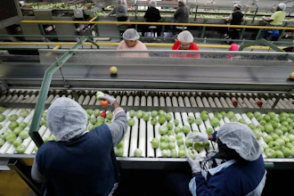 In this, Wednesday, Feb. 5 photo, workers sort through tomatoes after they are washed before being inspected and packed, in Florida City, FL. A Florida bill mandating that private companies verify each new hire's eligibility to work in the U.S. is worrying farmers in the agriculture-rich state. The growers complain they are struggling to find farm workers as the unemployment rate reaches record lows.