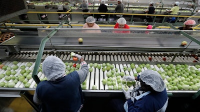 In this, Wednesday, Feb. 5 photo, workers sort through tomatoes after they are washed before being inspected and packed, in Florida City, FL. A Florida bill mandating that private companies verify each new hire's eligibility to work in the U.S. is worrying farmers in the agriculture-rich state. The growers complain they are struggling to find farm workers as the unemployment rate reaches record lows.