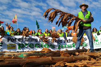 Farmers protest blocking the motorway near Navalmoral de la Mata in Caceres province, Spain, on Tuesday, February 18. Farmers in fluorescent yellow vests have begun blocking highways in southwestern Spain with tractors and other vehicles in the latest mass protest over what they say are plummeting incomes for agricultural workers.