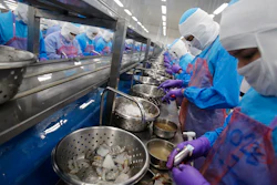 In this Aug. 23, 2016 file photo, workers peel shrimp at the Thai Union factory in Samut Sakhon, Thailand. A report issued Tuesday by the U.N.'s International Labor Organization credits Thailand with improving working conditions in the fishing and seafood processing industry, but says that serious labor abuses remain.