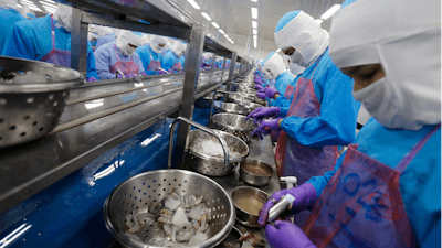 In this Aug. 23, 2016 file photo, workers peel shrimp at the Thai Union factory in Samut Sakhon, Thailand. A report issued Tuesday by the U.N.'s International Labor Organization credits Thailand with improving working conditions in the fishing and seafood processing industry, but says that serious labor abuses remain.