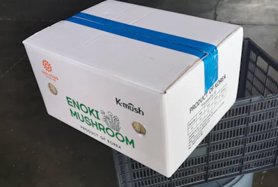 Enoki Box