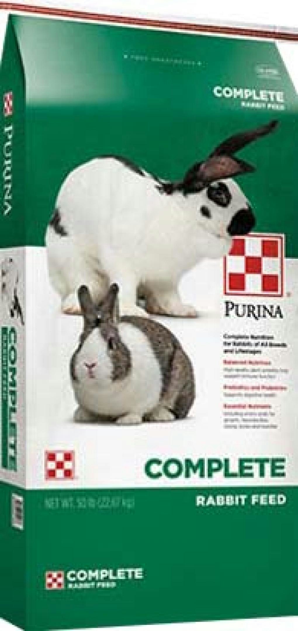 Purina bunny best sale food