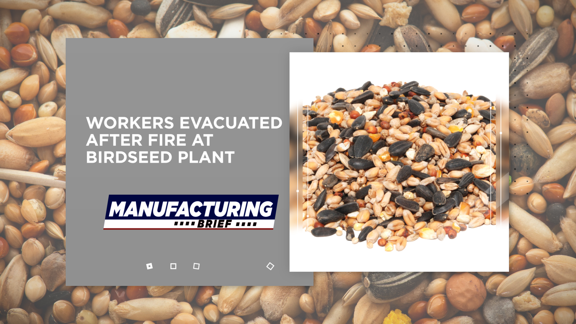 Birdseed