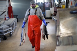 In this March 25 photo, a worker carries pollack at the Portland Fish Exchange in Portland, Maine. The seafood industry has been upended by the spread of coronavirus, which has halted sales in restaurants and sent fishermen and dealers scrambling for new markets for their products.