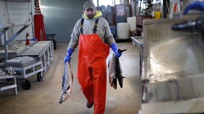 In this March 25 photo, a worker carries pollack at the Portland Fish Exchange in Portland, Maine. The seafood industry has been upended by the spread of coronavirus, which has halted sales in restaurants and sent fishermen and dealers scrambling for new markets for their products.