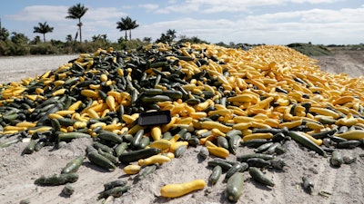 In this March 28 photo, a pile of ripe squash sits in a field in Homestead, FL. Thousands of acres of fruits and vegetables grown in Florida are being plowed over or left to rot because farmers can't sell to restaurants, theme parks or schools nationwide that have closed because of the coronavirus.