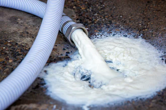 Milk pours out of the bulk tank and into the drain on Wednesday, April 8 at the Azevedo Family Dairy in Buhl, ID. With restaurants across the country closed, milk processors have lost a significant chunk of their market, leaving dairy farmers with no one to take their milk. Owner Richard Azevedo says 4,100 gallons of milk were dumped that morning. 'It's hard to watch that go down the drain,' he says.