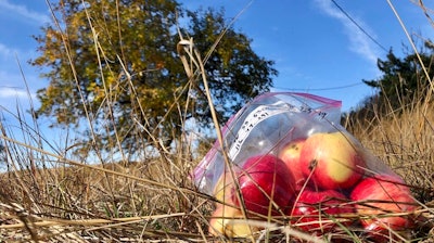 In this Oct. 23, 2019, photo, apples collected by amateur botanists David Benscoter and EJ Brandt of the Lost Apple Project, rest on the ground in an orchard at an abandoned homestead near Genesee, Idaho. Benscoter and Brandt recently learned that their work in the fall of 2019 has led to the rediscovery of 10 apple varieties in the Pacific Northwest that were planted by long-ago pioneers and had been thought extinct.