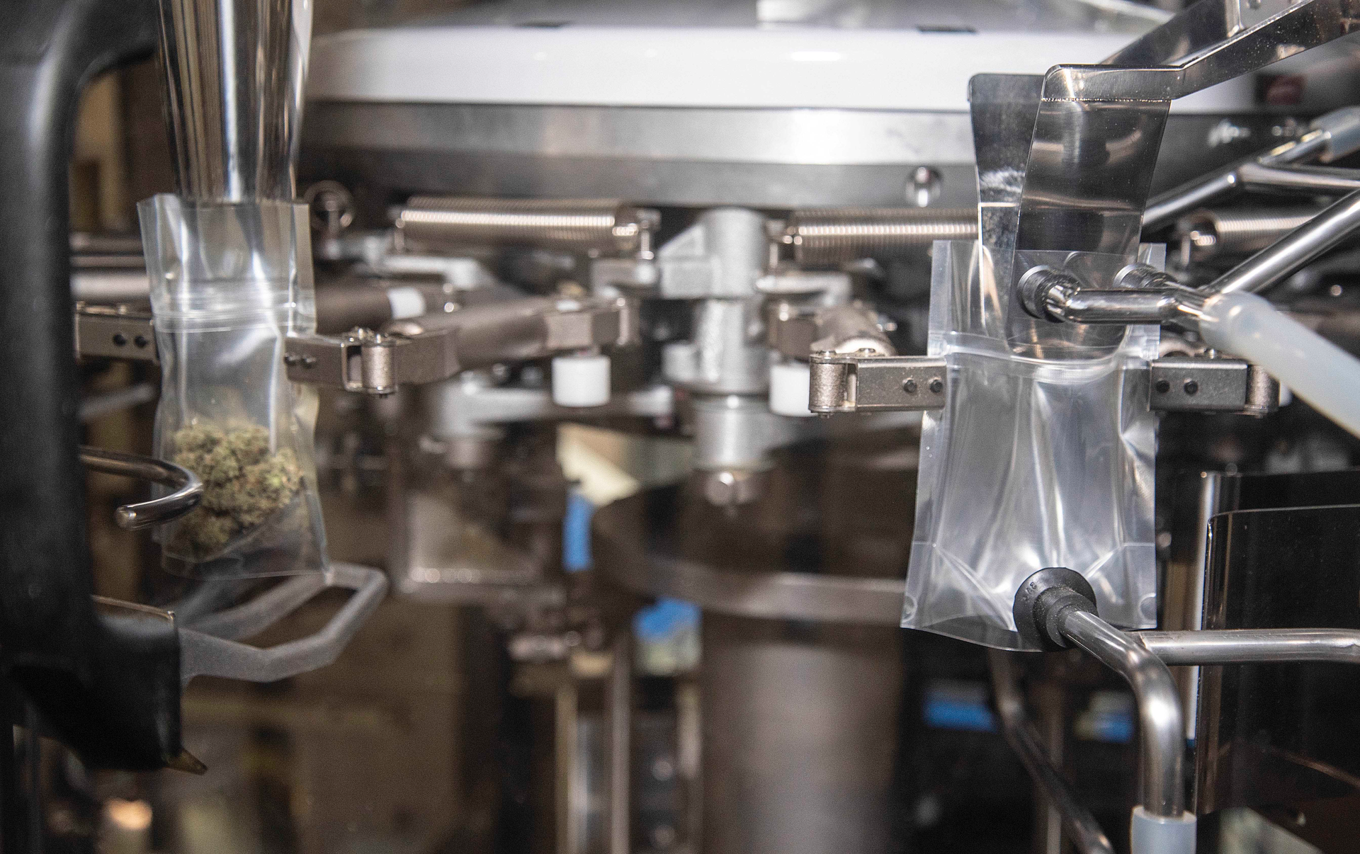 The GP-M3000 filling pouches of flower.