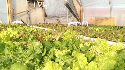 FRESH Farm Aquaponics