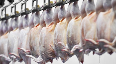 Poultry Processing