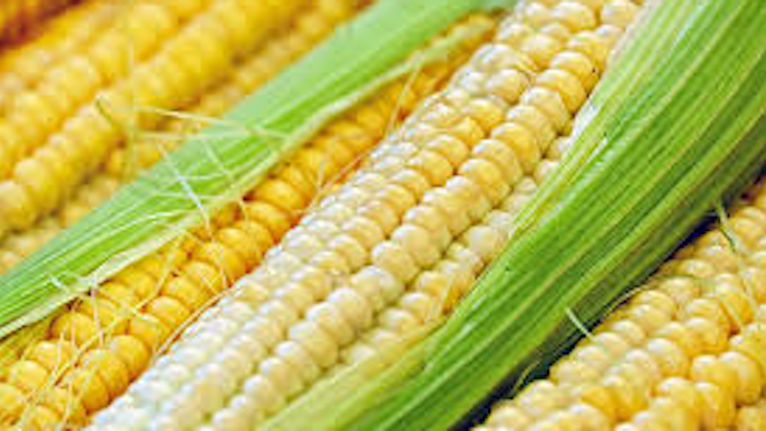 Corn Pixabay
