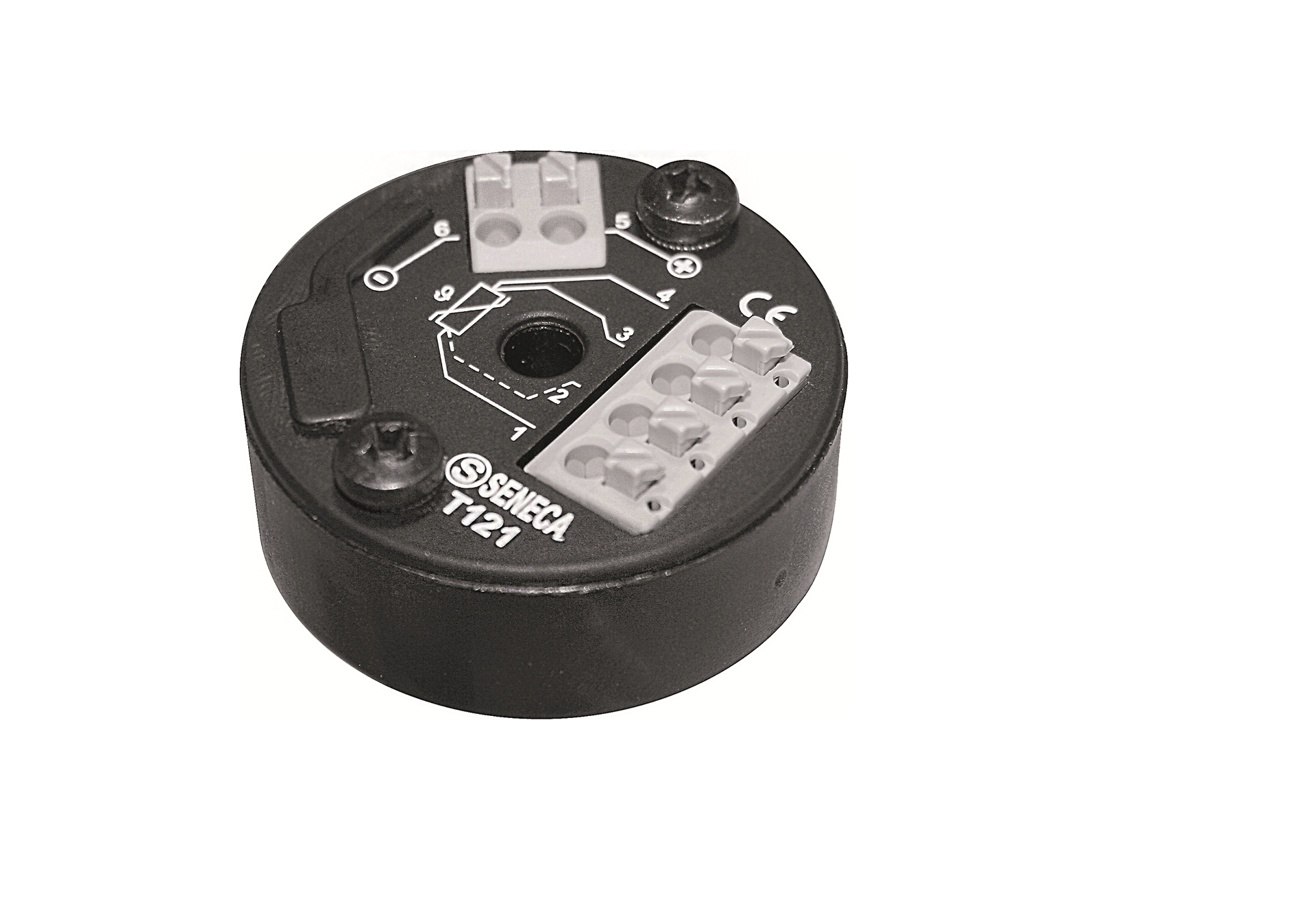The T121 is an isolated 4-20 mA loop powered universal transmitter from Absolute Process Instruments.