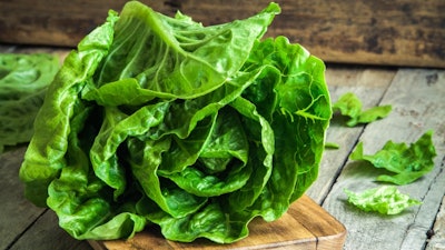 Ripe Organic Green Salad Romano 000057375036 Small