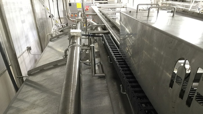 Igus Cheese Plant
