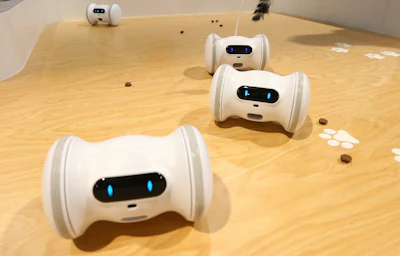 VARRAM has developed a robot to care for your pets while you are away with the VARRAM Pet Fitness Robot, as the company claims this smart device helps with pet anxiety and playtime, offering real-time rewards, like treats, and activities, using the Varram app, you can set a schedule for your pet via Bluetooth, shown at CES International Tuesday, Jan. 8, 2019, in Las Vegas.