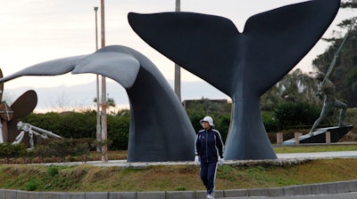 In this March 8, 2010, file photo, a woman walks by sculptures of whales, the symbol of the southwestern Japanese town of Taiji. Japanese whalers are discussing plans ahead of their July 1, 2019 resumption of commercial hunting along the northeastern coasts for the first time in three decades.