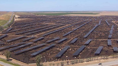 According to the company, Harris operates one of the largest cattle ﬁnishing facilities in the Western United States.