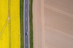 A lorry drives along a country road that between a flowering rape field and a freshly tilled field in Pattensen, Germany on April 28.