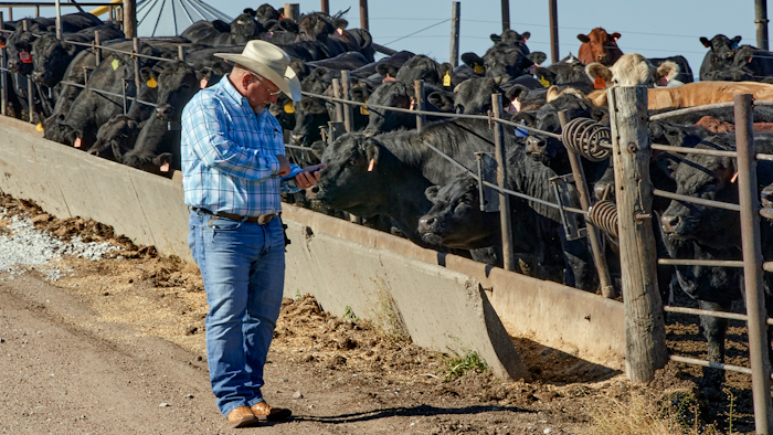 Mike Drinnin checks his cellphone at a feedlot in Columbus, NE on Wednesday, June 10. Drinnin, who owns feedlots in Nebraska, said everyone involved in raising and feeding cattle felt the squeeze this spring when beef and pork processing plants were operating at roughly 60 percent of capacity, amid the coronavirus pandemic.