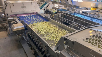 Key Apple Sorting System