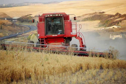 Wheat Agriculture Farming Ap