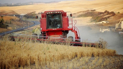 Wheat Agriculture Farming Ap