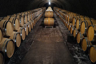 Empty barrels for the next harvest in autumn in the cave of Champagne producer Anselme Selosse in Avize, in the Champagne region east of Paris, on July 28.